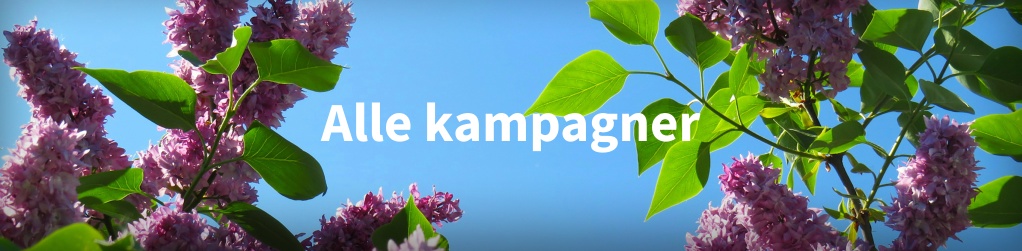 Alle kampagner